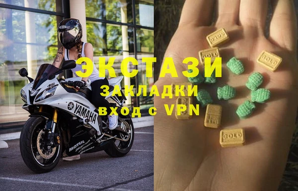 сатива Верея