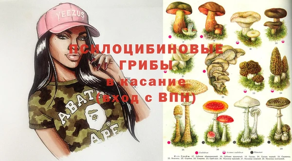 сатива Верея
