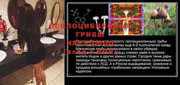 прущие крисы Володарск