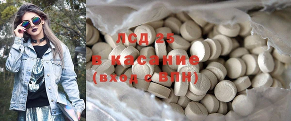 сатива Верея